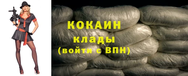 индика Нея