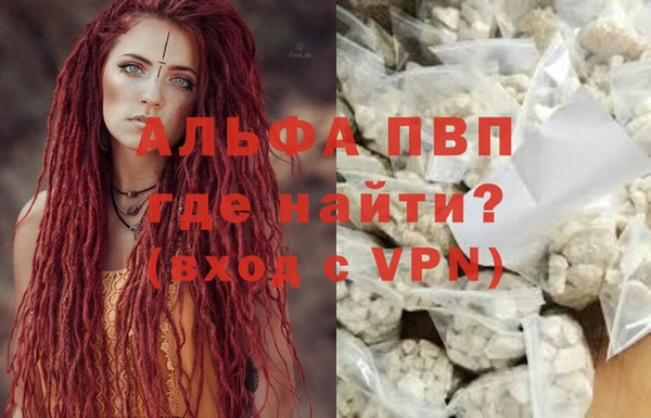 амф Пестово