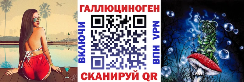 shop какой сайт Курчалой Псилоцибиновые грибы прущие грибы