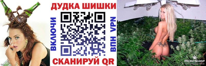продажа наркотиков Курчалой Шишки марихуана MAZAR